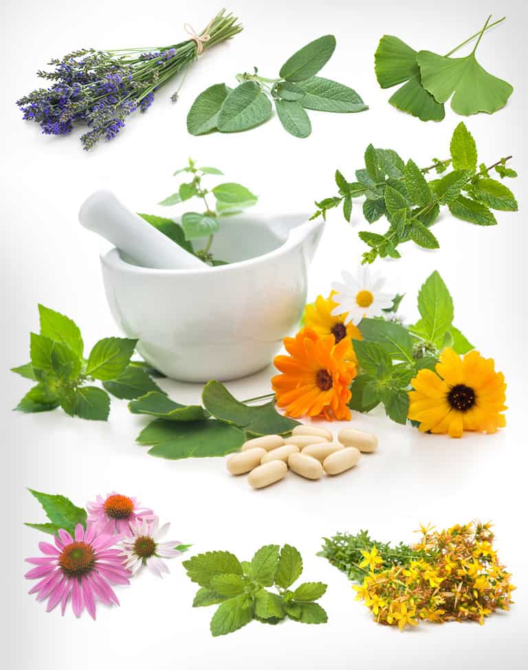 Discount herbal online supplements